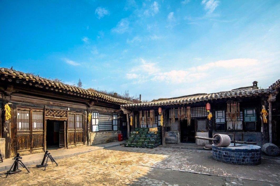 动物帮帮忙保卫家园